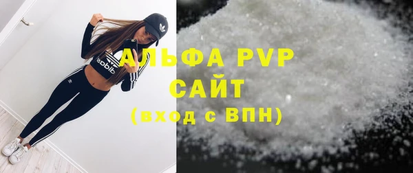 СК Богородск