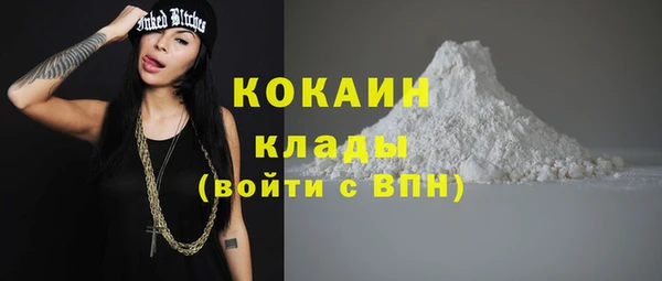 прущие грибы Белокуриха