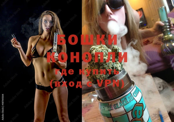 прущие грибы Белокуриха
