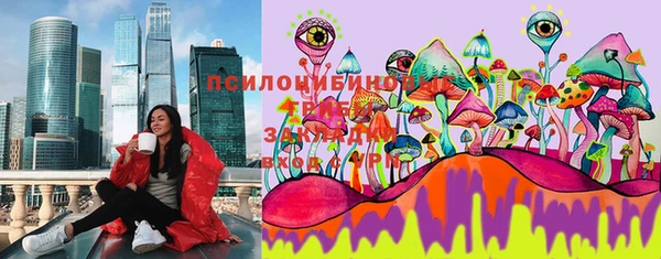 прущие грибы Белокуриха
