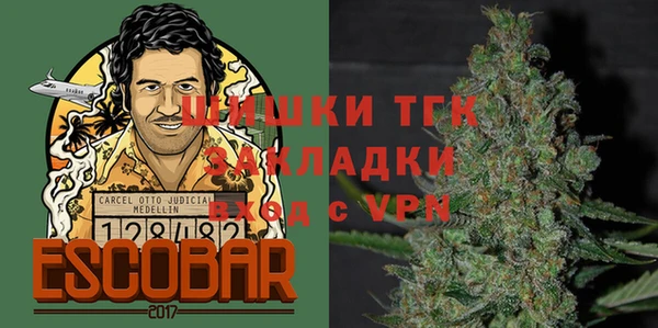 СК Богородск