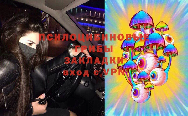 СК Богородск